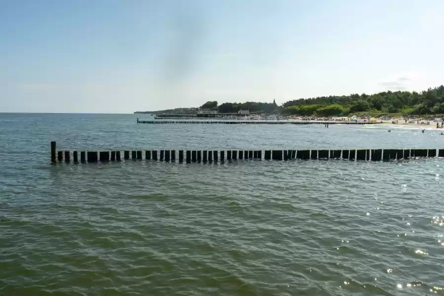 sianozety molo 066