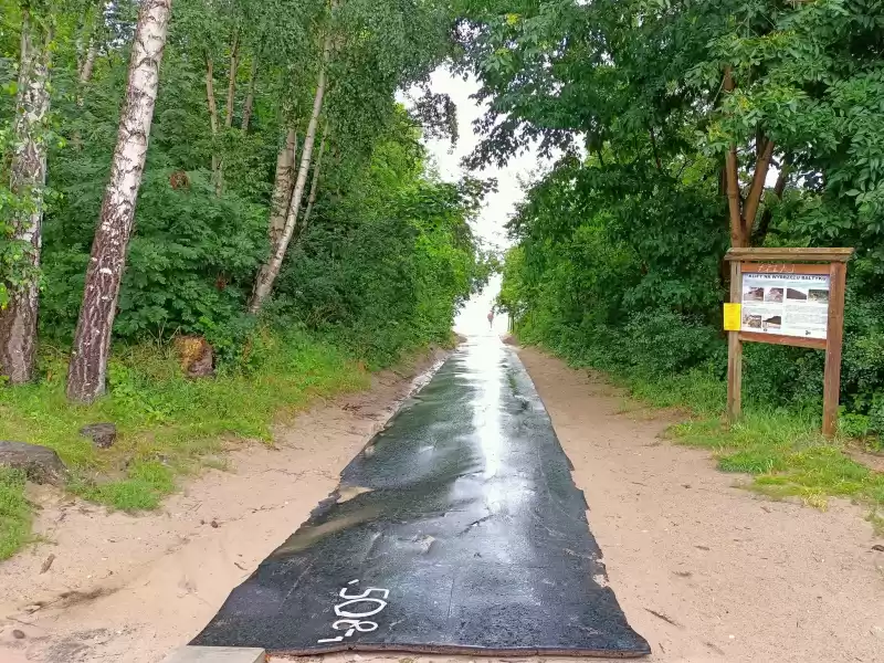 sianozety zejscie na plaze