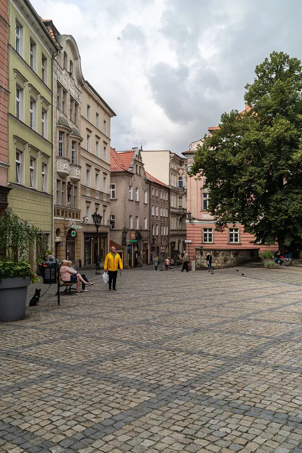 Kłodzko - rybek