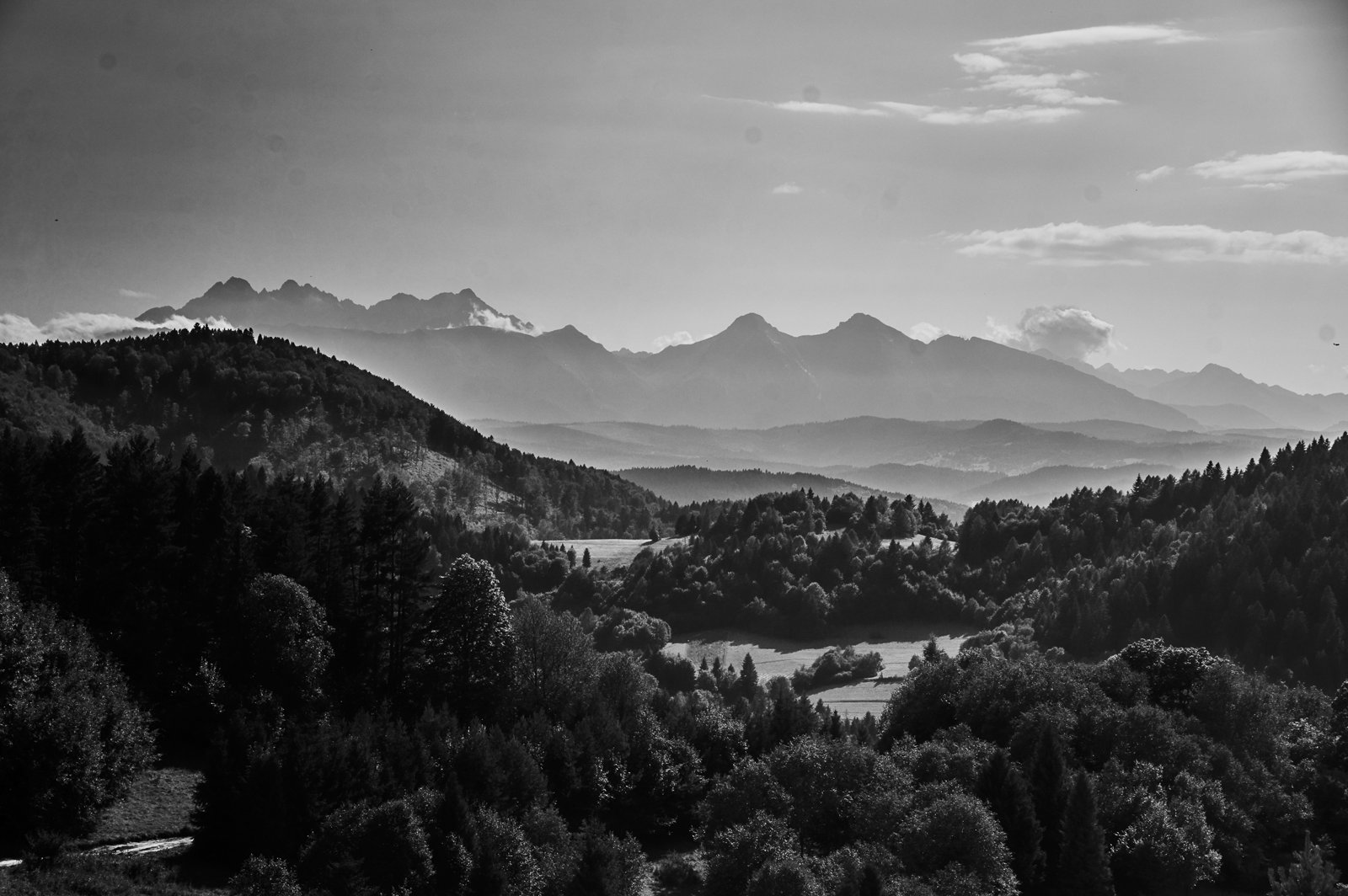 panorama-gorska-palenica-szczawnica